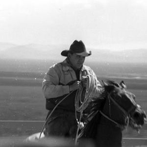 Meet your Posher, Sean